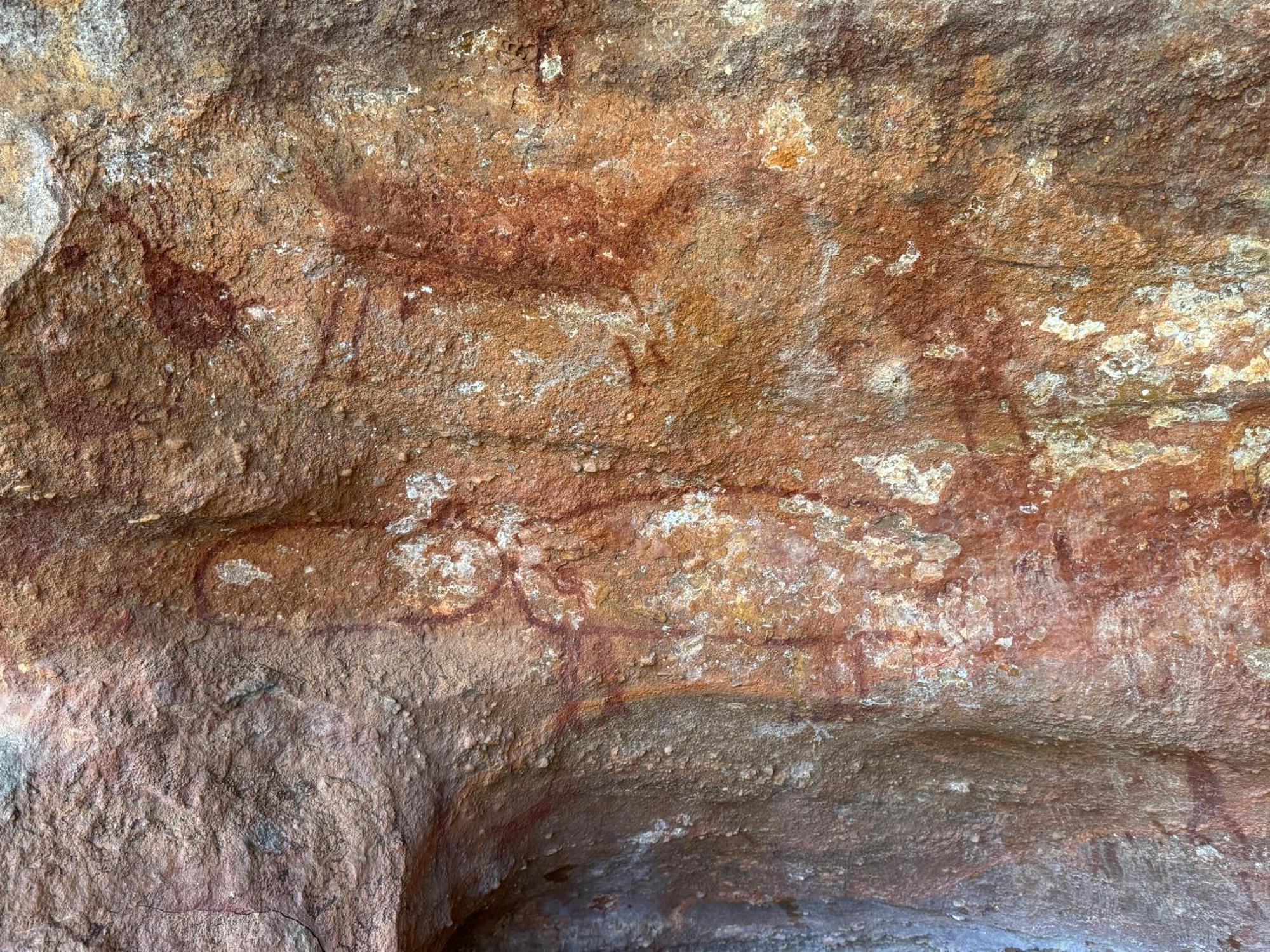 Casa Barreirinho Parque Nacional Serra da Capivara Coronel Jose Dias Exterior foto