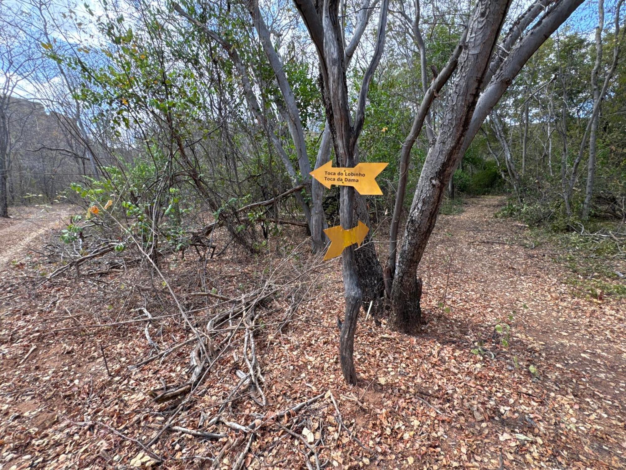 Casa Barreirinho Parque Nacional Serra da Capivara Coronel Jose Dias Exterior foto