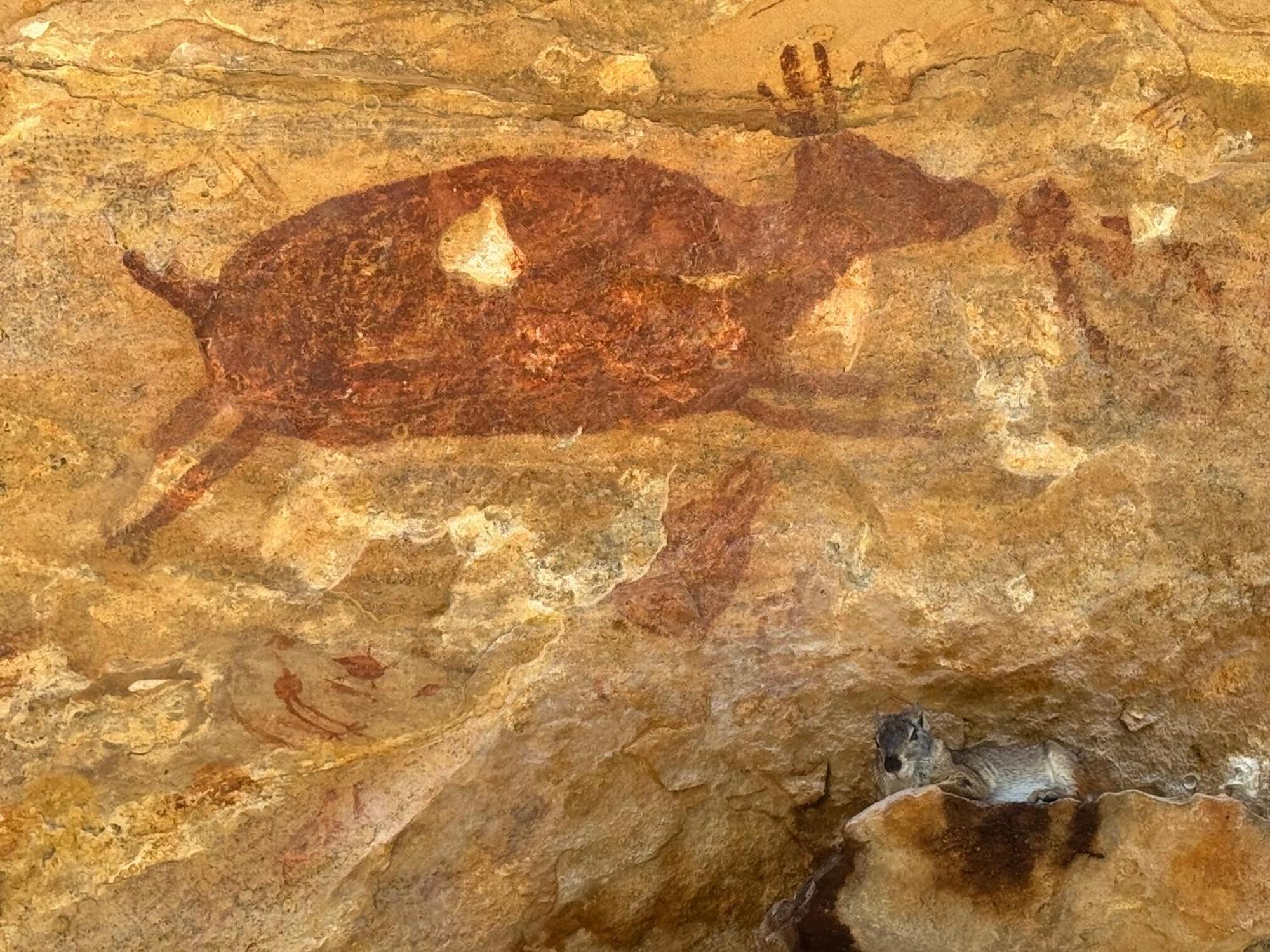 Casa Barreirinho Parque Nacional Serra da Capivara Coronel Jose Dias Exterior foto